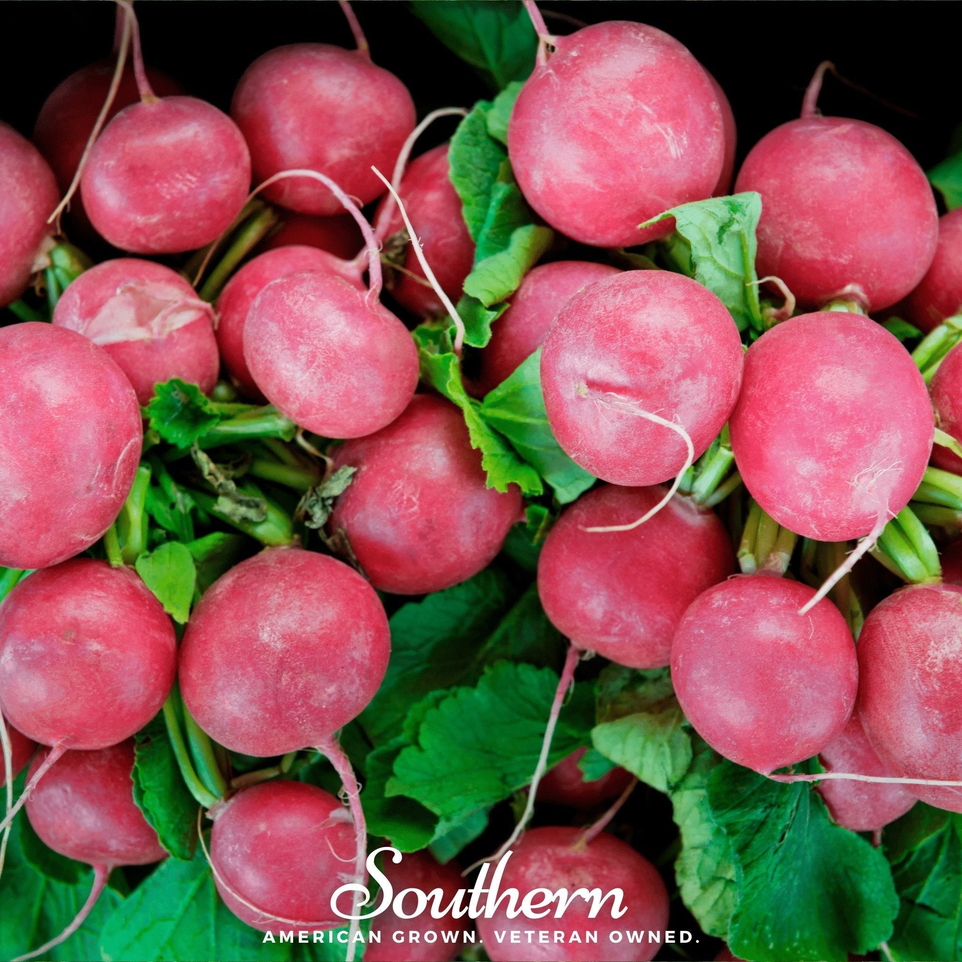 Close-up of pink radishes with green leaves, branded 'Southern'.