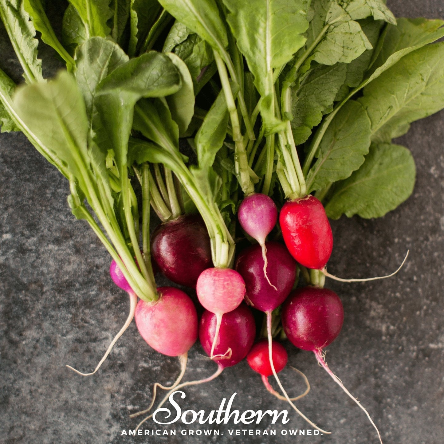 Bunch of radishes with green leaves on a dark surface, featuring 'Southern' brand.