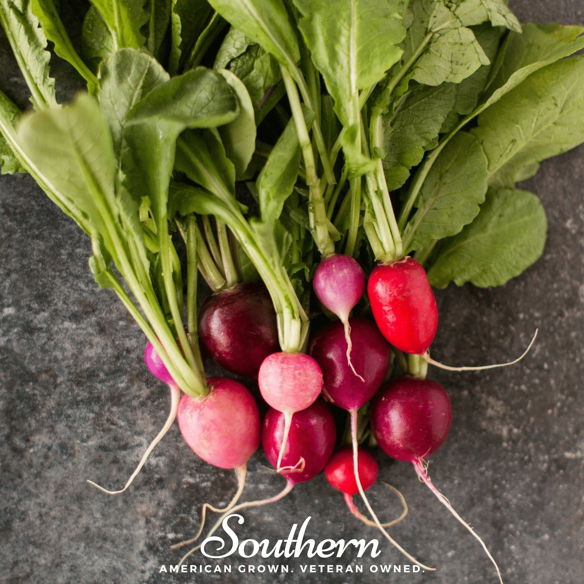 Bunch of radishes with green leaves on a dark surface, featuring 'Southern' brand.
