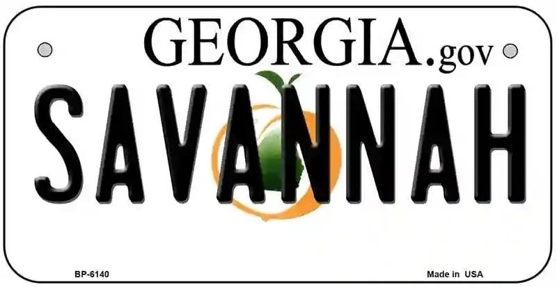 Savannah Georgia Bicycle License Plate