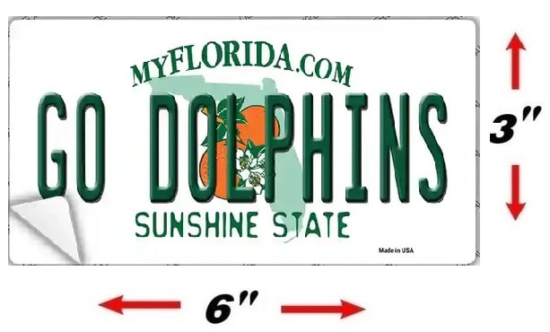 Size Of Dolphins Bumper Sticker Decal