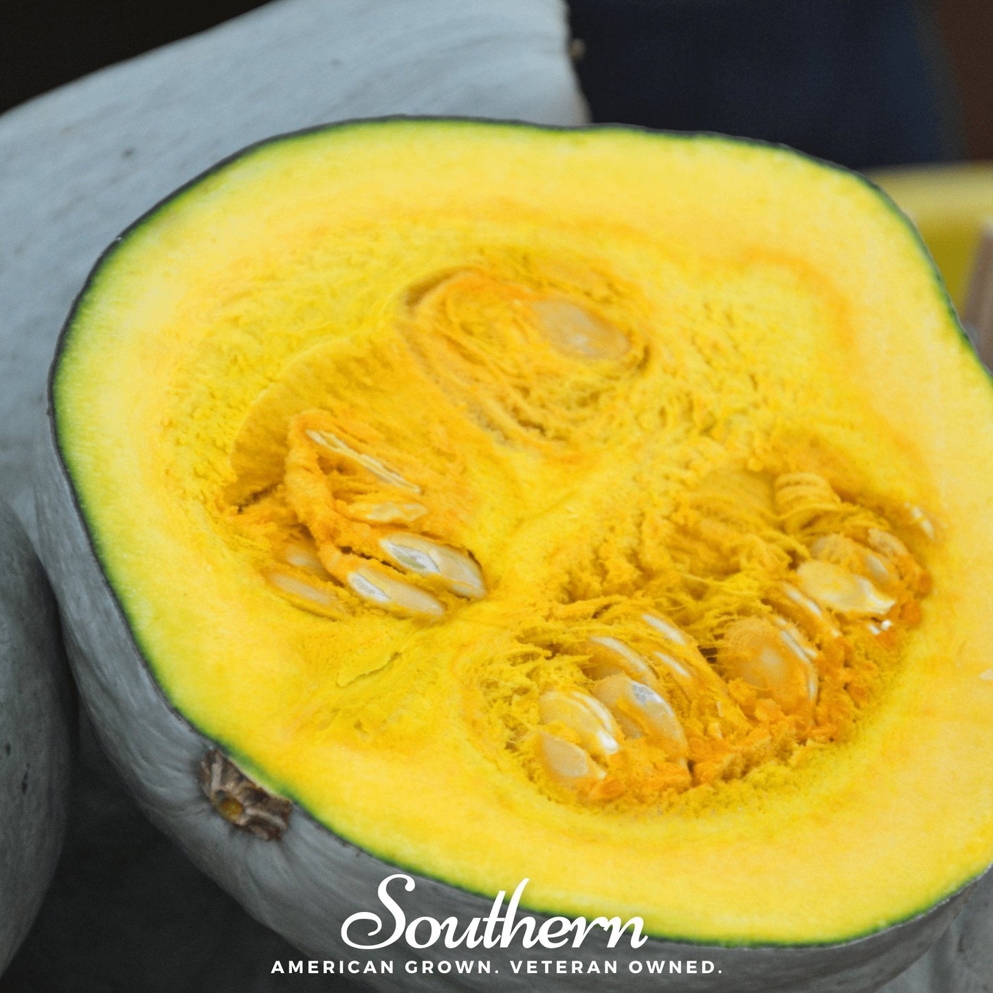 Blue Hubbard Winter Squash – 20 Seeds