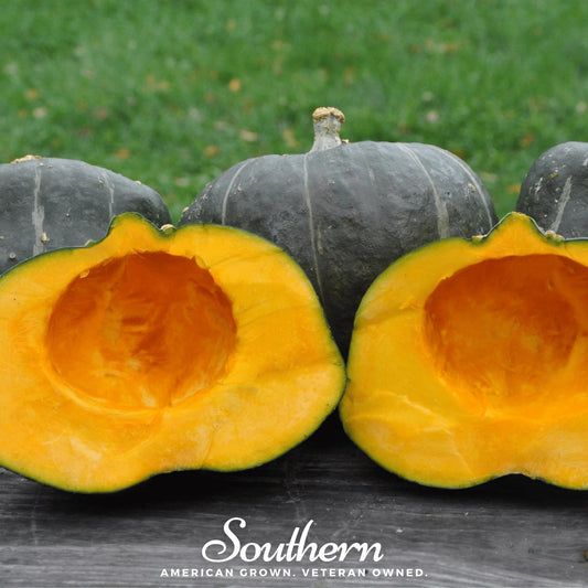 Split squash showing orange flesh with a green background, featuring 'Southern' brand text.