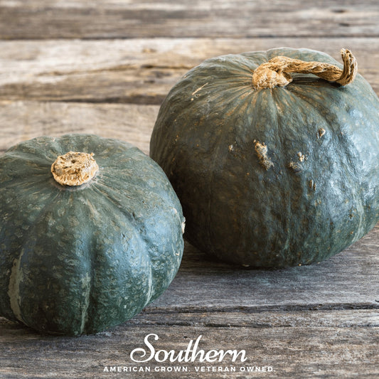 Two green pumpkins on a wooden surface with 'Southern' branding.