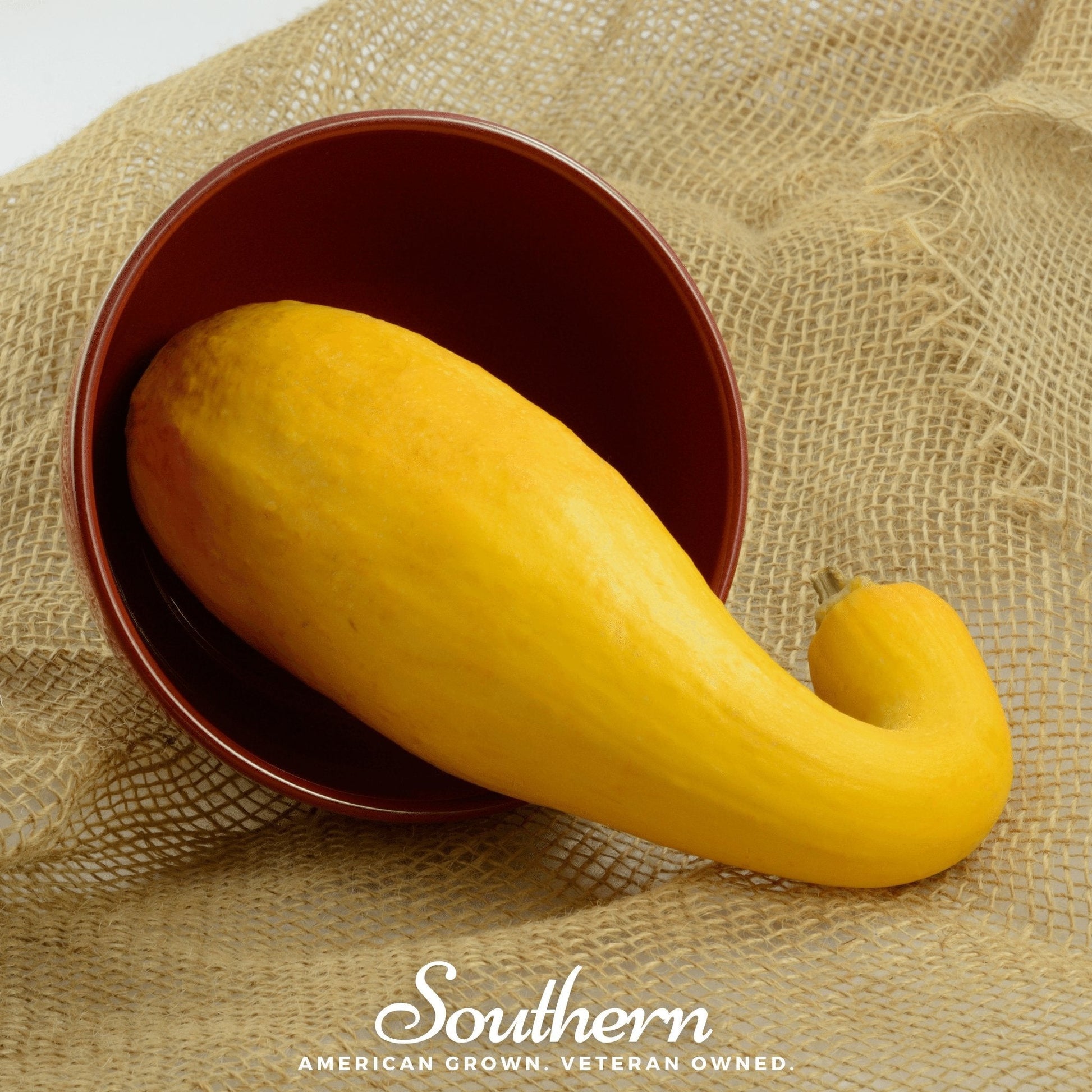 Yellow squash in a red bowl on a textured beige surface with 'Southern' branding.