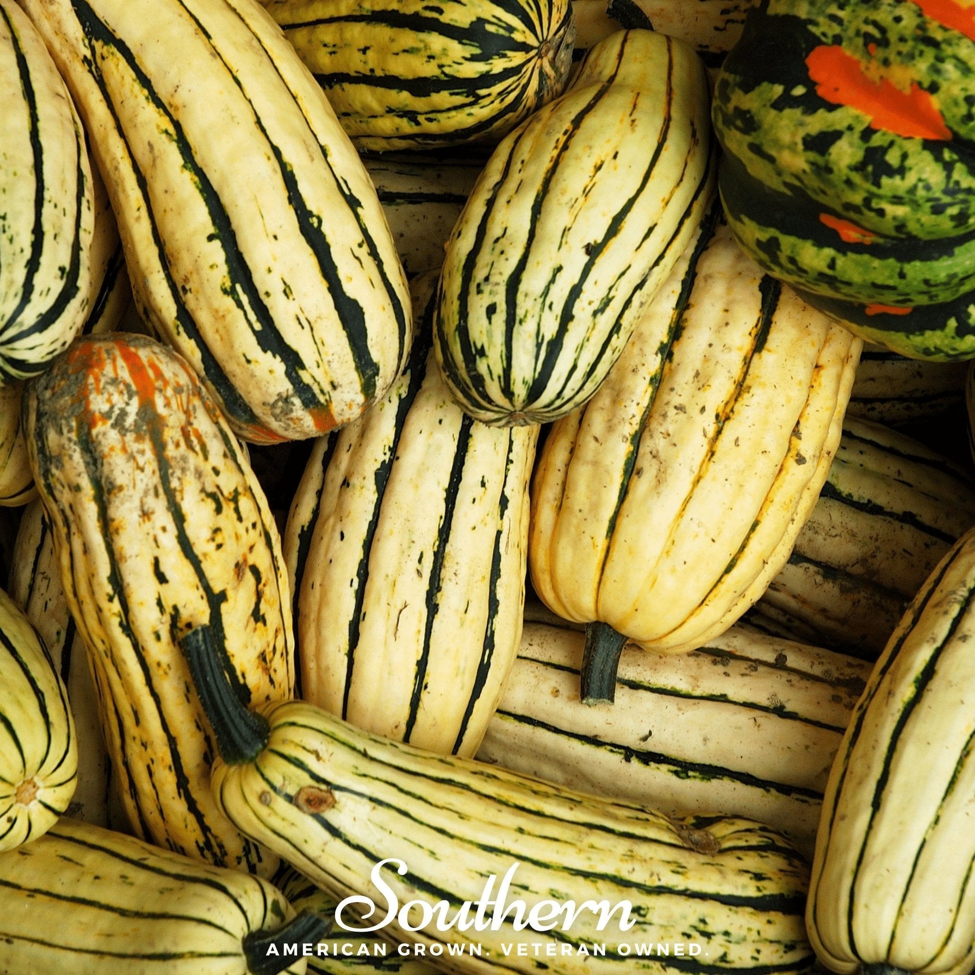 Assorted striped squash with 'Southern' brand logo in the corner.