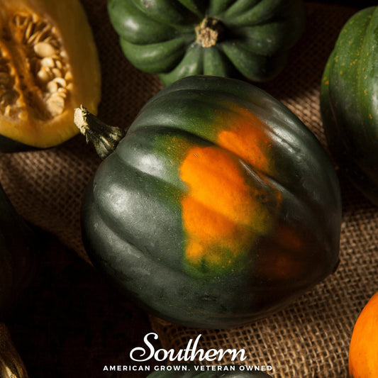 Acorn squash with orange and green coloration on a burlap background, featuring the brand 'Southern'.