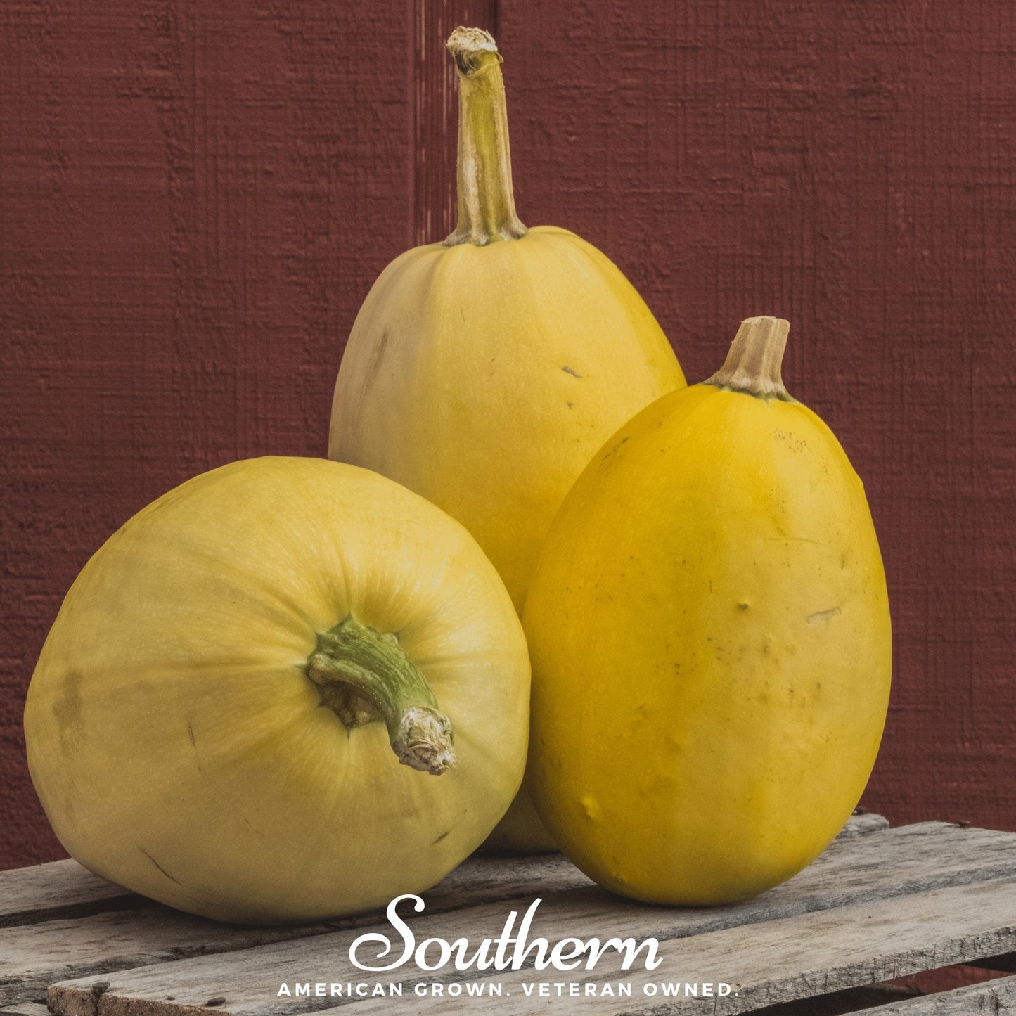 Three yellow squash on a wooden surface with a red background