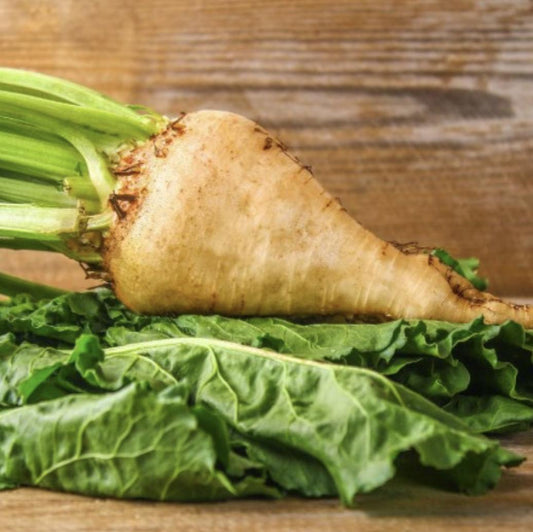 Sugar Beet with green leaves on a wooden surface