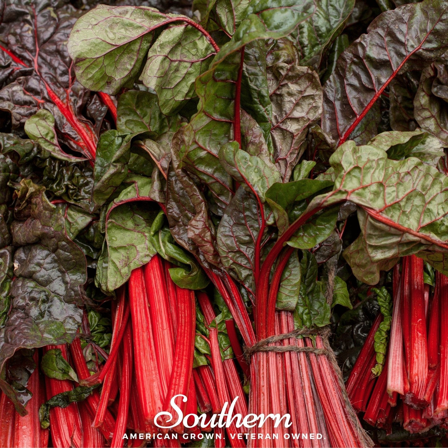 Bundles of red Swiss chard with a 'Southern' brand logo.
