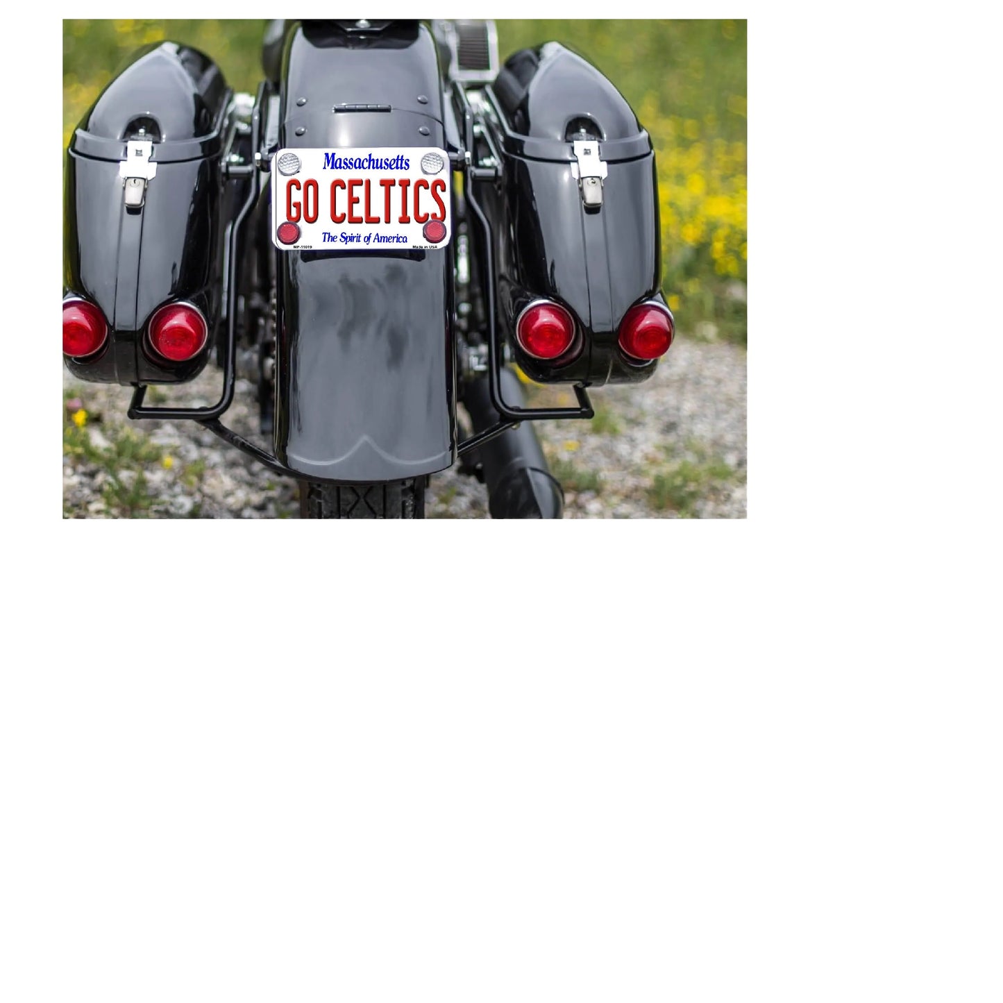 Mounted GO CELTICS Novelty Metal Motorcycle Plate