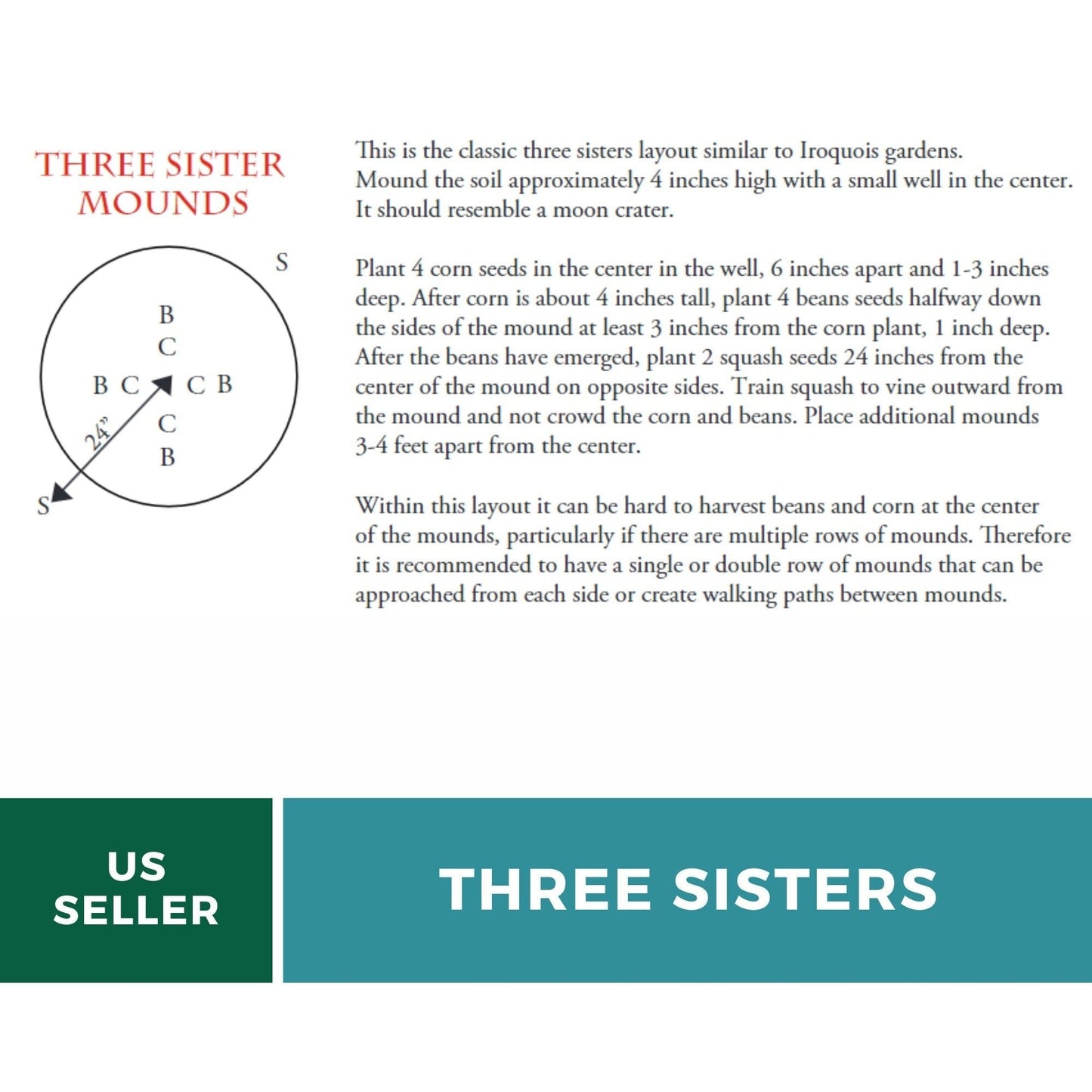 Three Sisters Seed Collection – Native American Farming – Corn, Bean, Squash