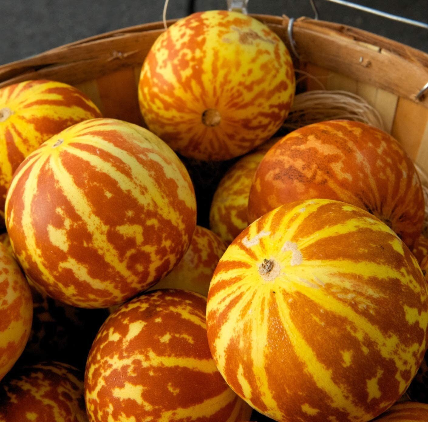 Basket of striped orange and yellow tigger melons