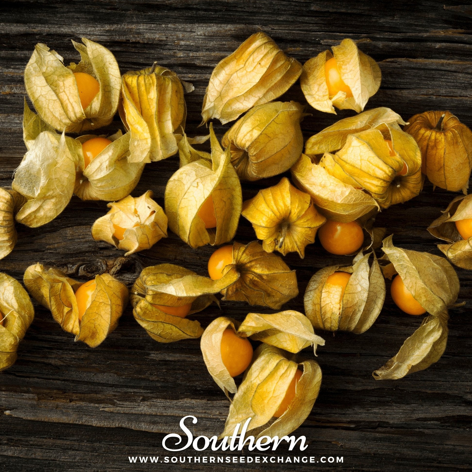Physalis fruits with green husks on a wooden surface, branded 'Southern Seed Exchange'.
