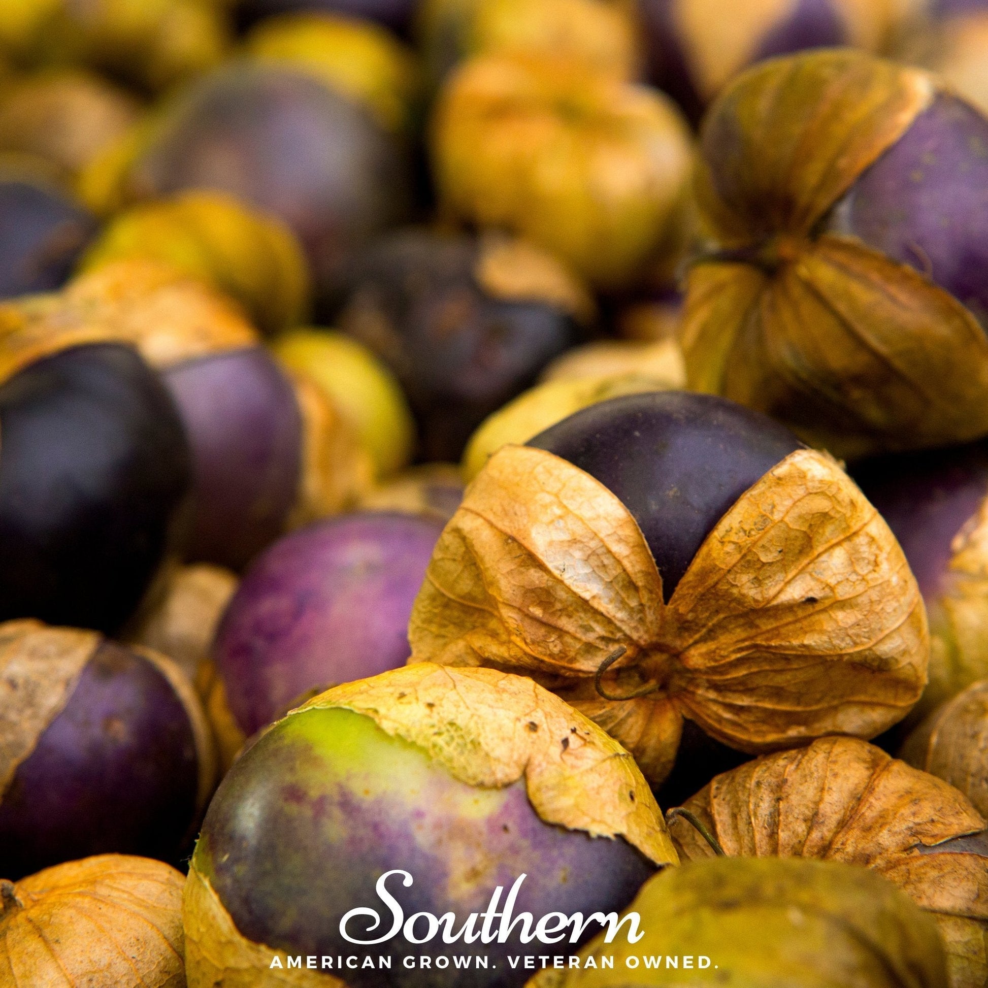 Close-up of Purple Tomatillo with 'Southern' brand logo.