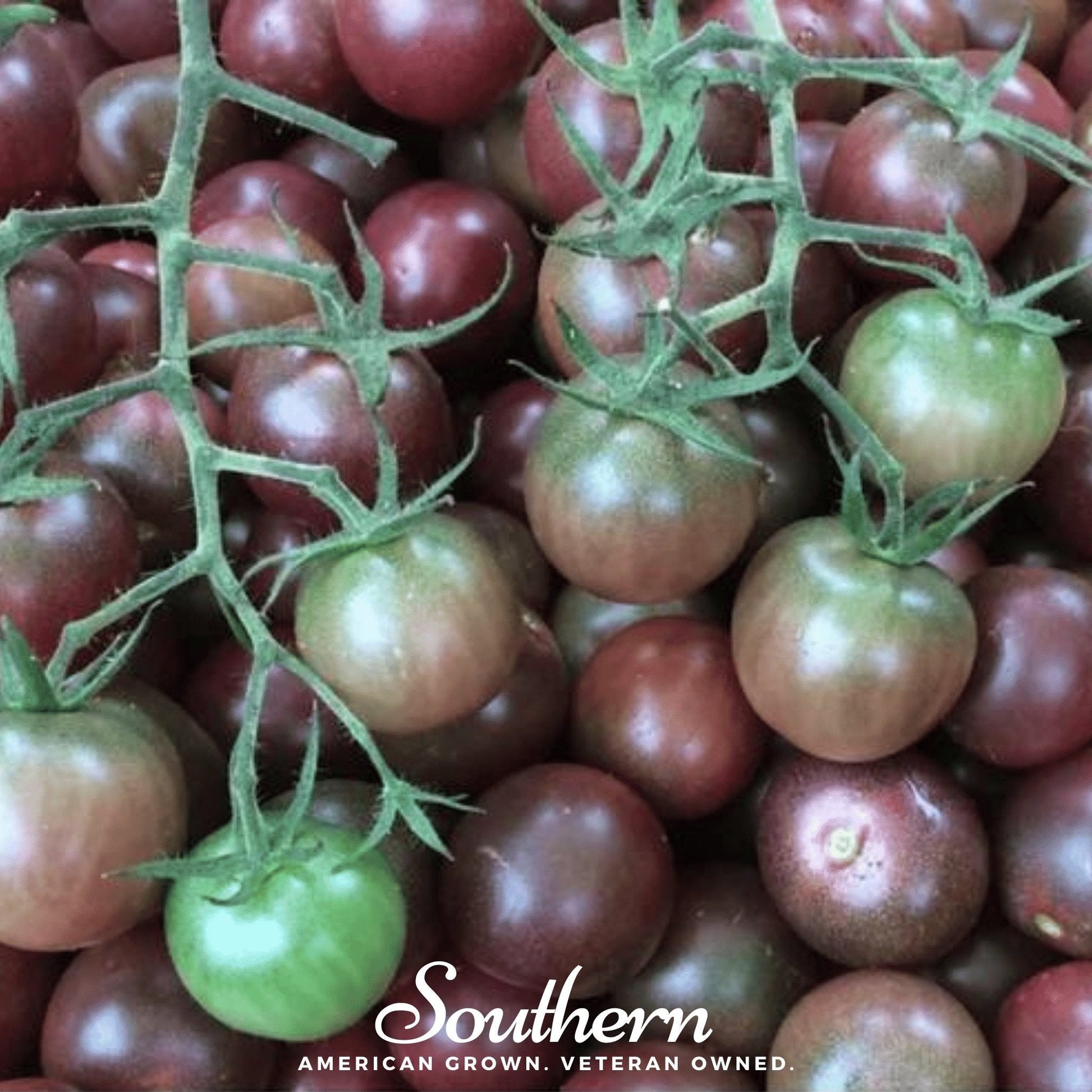 Close-up of cherry tomatoes with 'Southern' brand text.