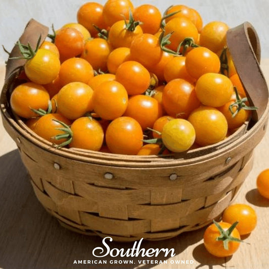 Basket of yellow cherry tomatoes with 'Southern' branding on a wooden surface.