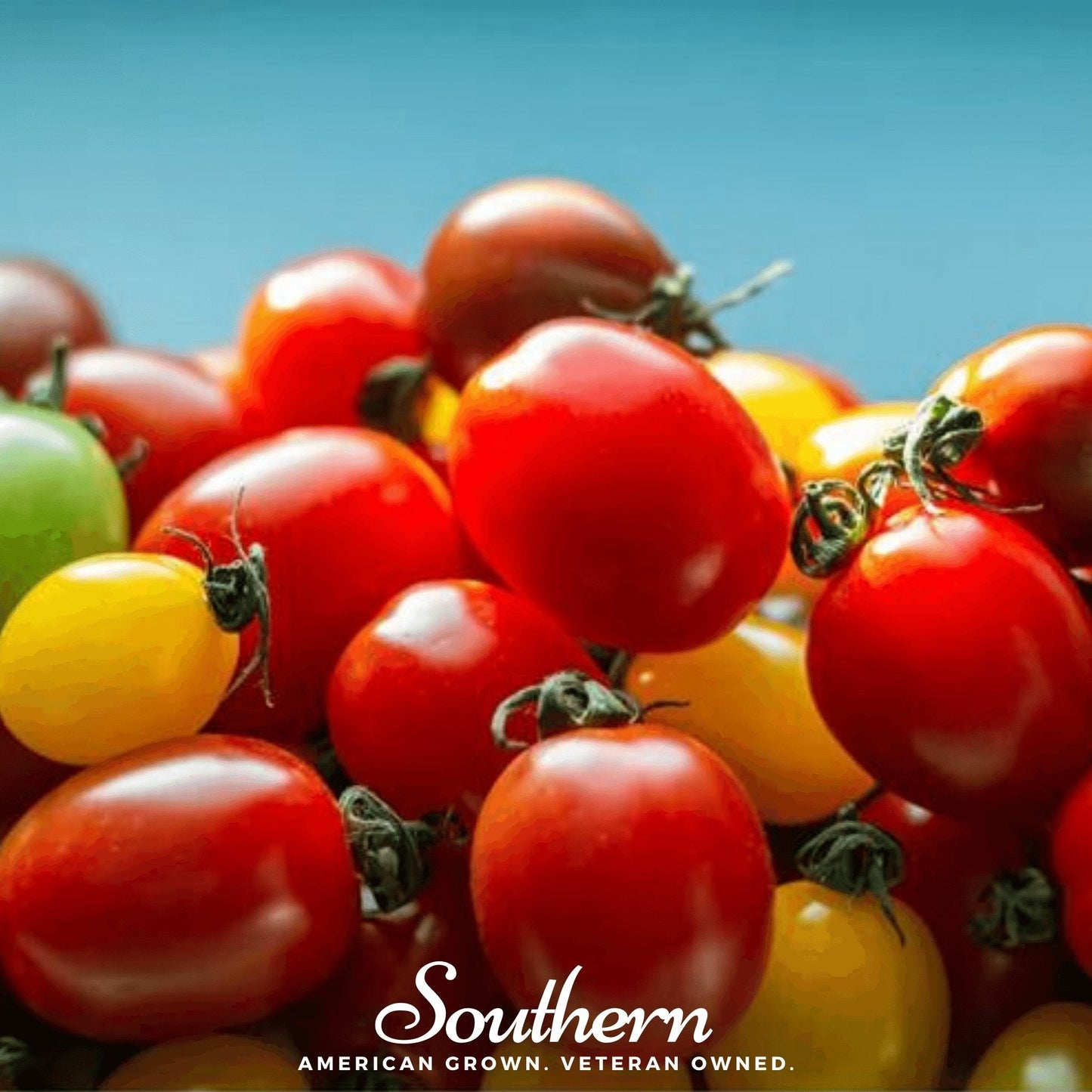 Close-up of red and yellow cherry tomatoes with 'Southern' branding.