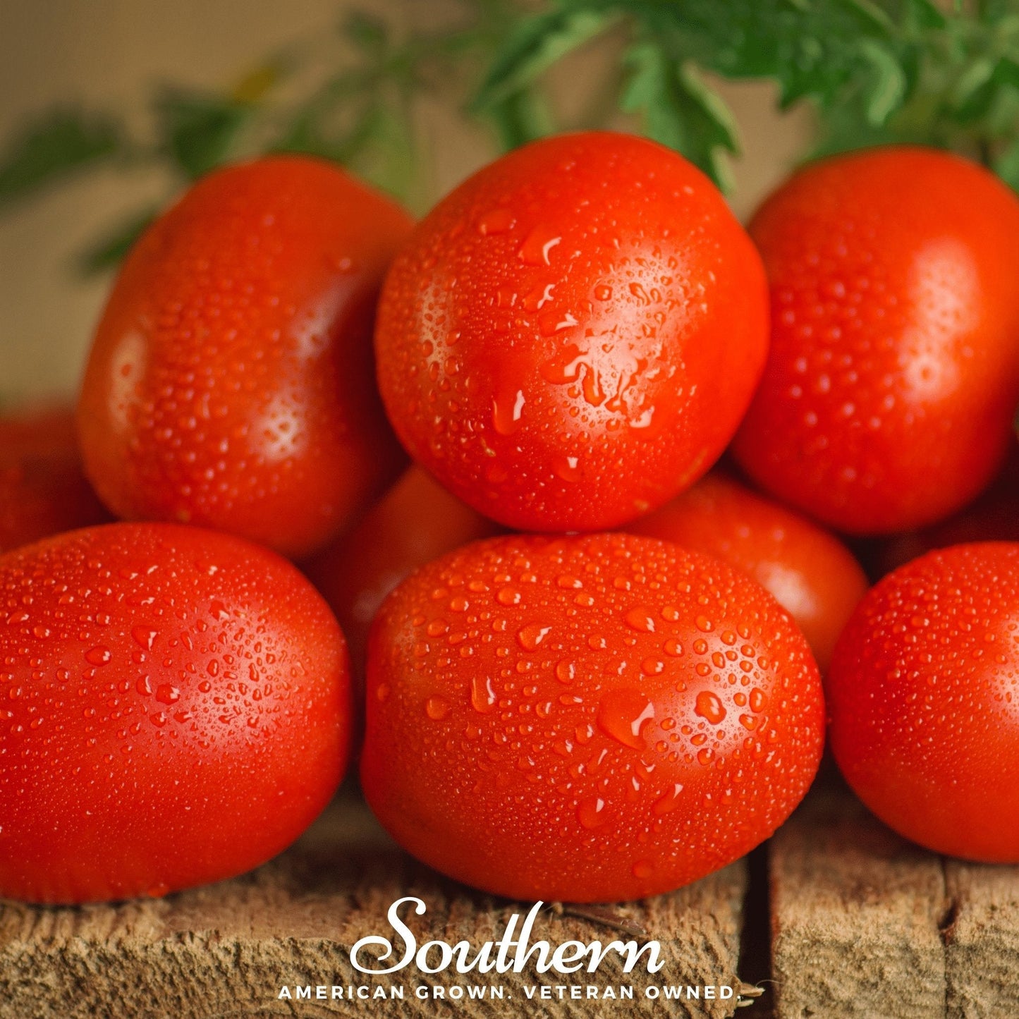 Fresh red tomatoes with water droplets on a wooden surface, featuring the 'Southern' brand.