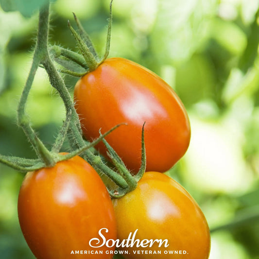 Three red orange tomatoes on a vine with 'Southern' branding in the background.