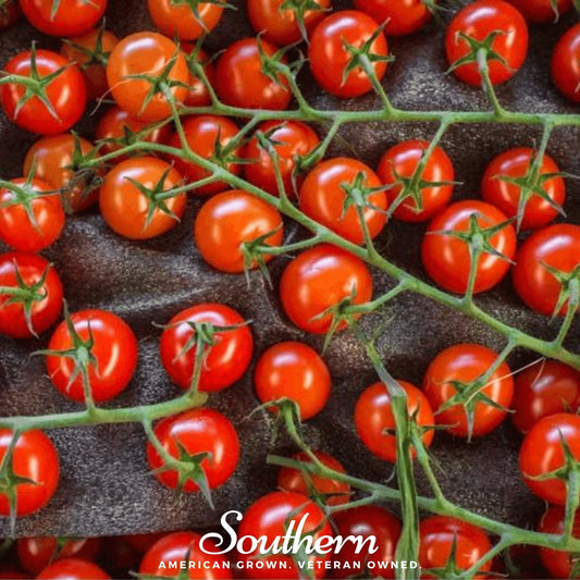 Red cherry tomatoes on green stems with 'Southern' brand logo.