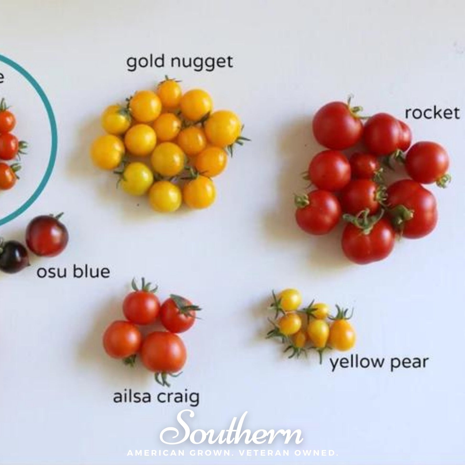 Assorted cherry tomatoes with labels on a white background