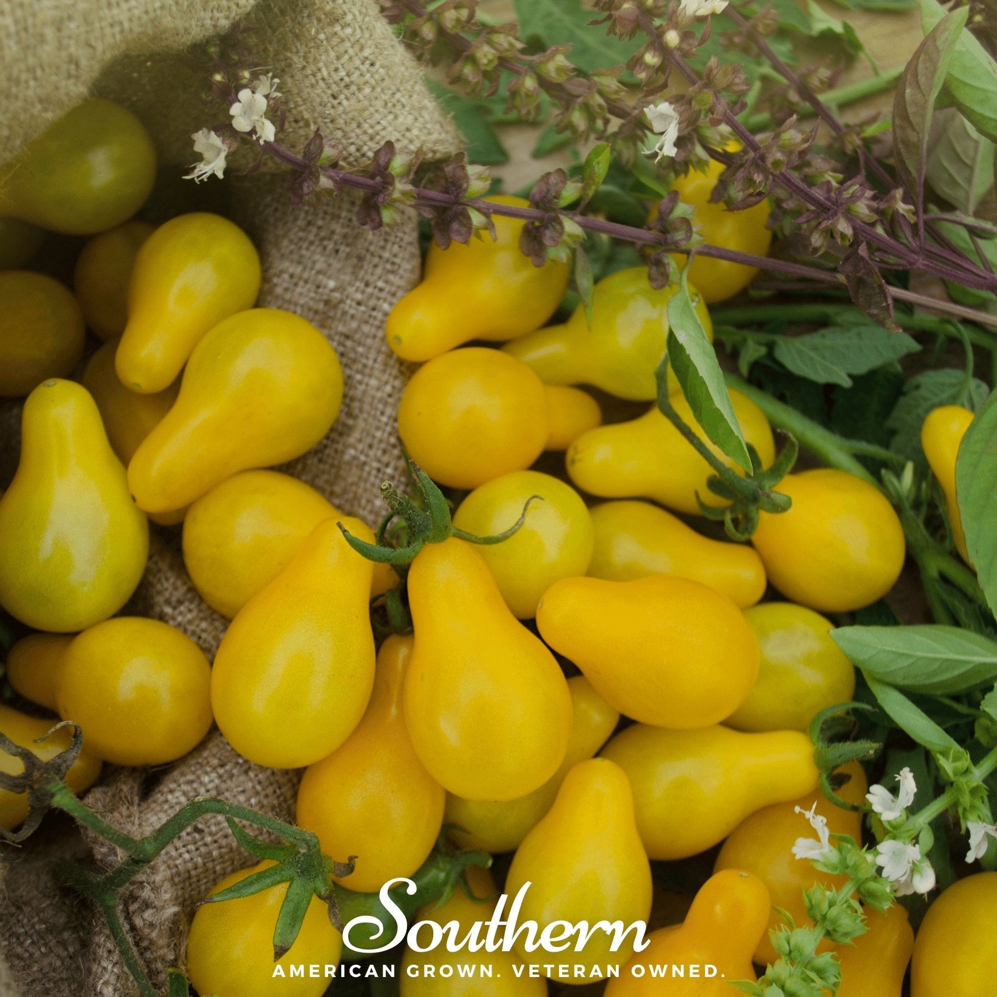 Yellow cherry tomatoes with green leaves on a rustic background, featuring the 'Southern' brand.