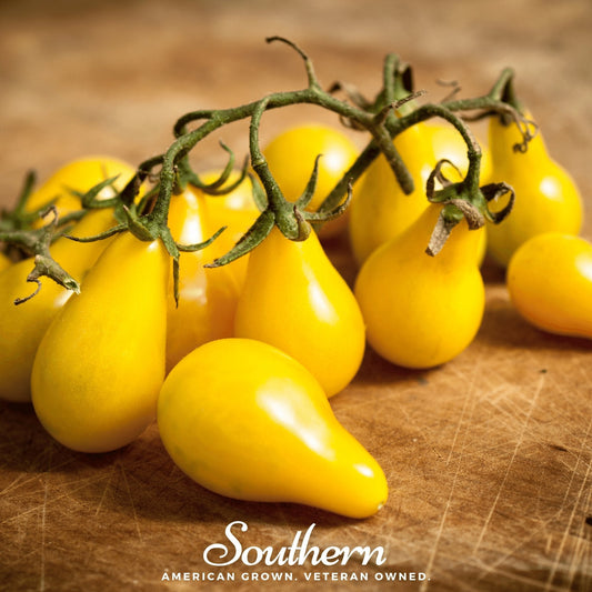 Yellow tomatoes on a vine with 'Southern' branding on a wooden surface