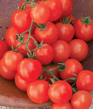 Close-up of red cherry tomatoes on a wooden surface