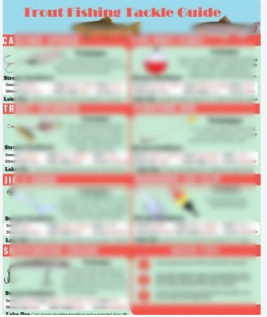 Common Trout of North America and Trout Fishing Tackle Guide