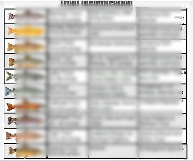 Common Trout of North America and Trout Fishing Tackle Guide