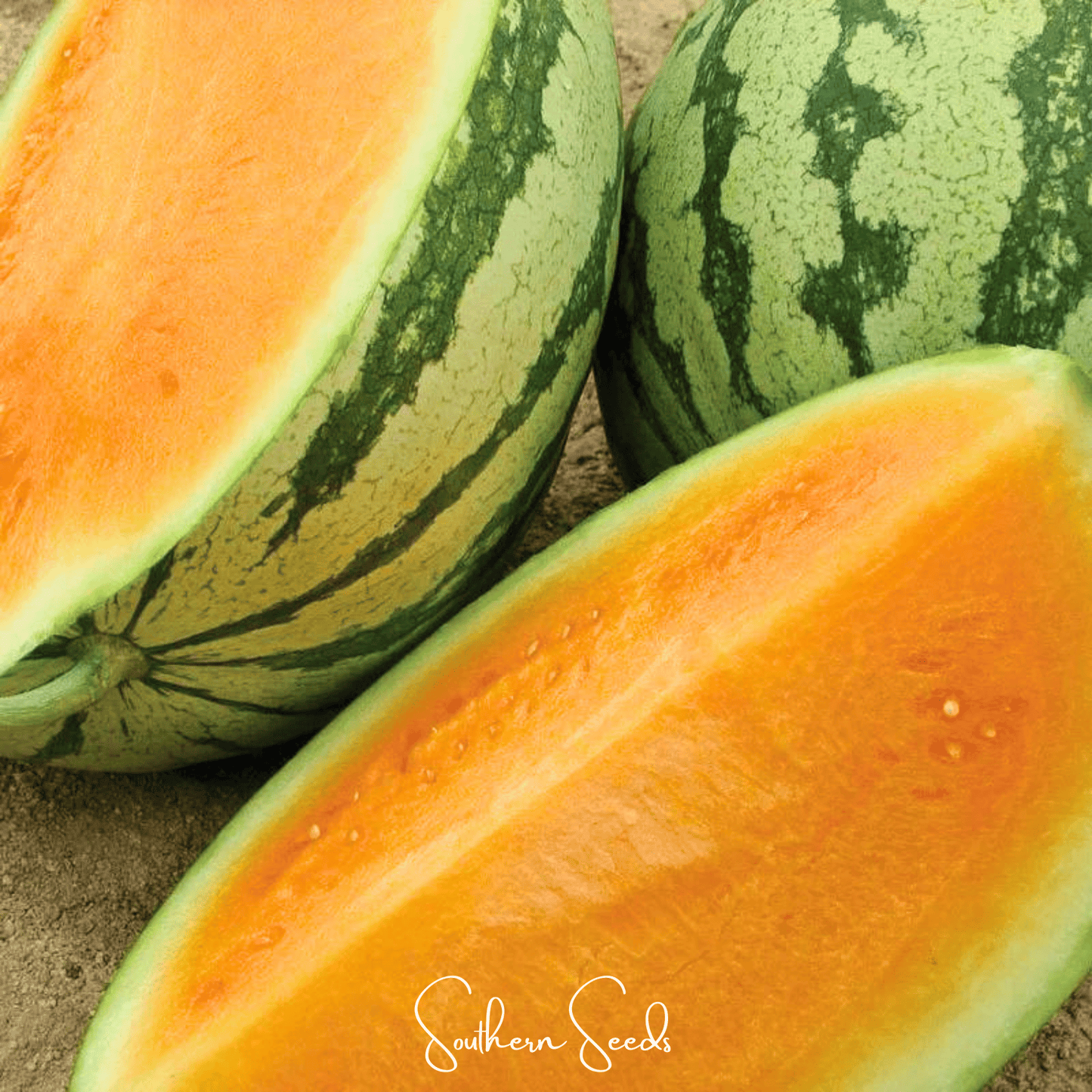 Close-up of a watermelon with a cut section, branded 'Southern Seeds'.
