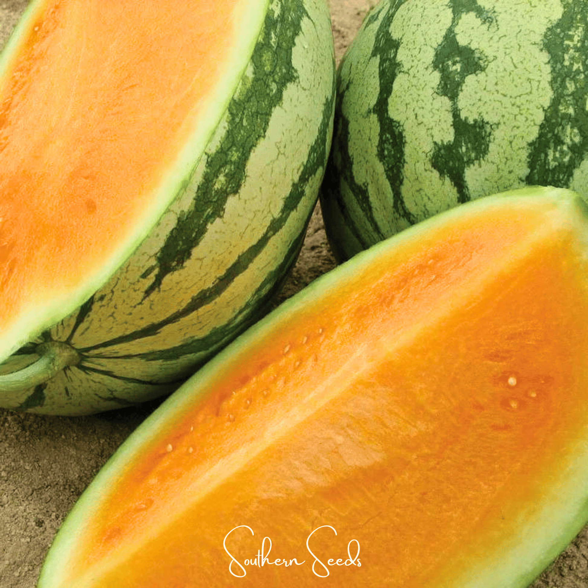 Close-up of a watermelon with a cut section, branded 'Southern Seeds'.