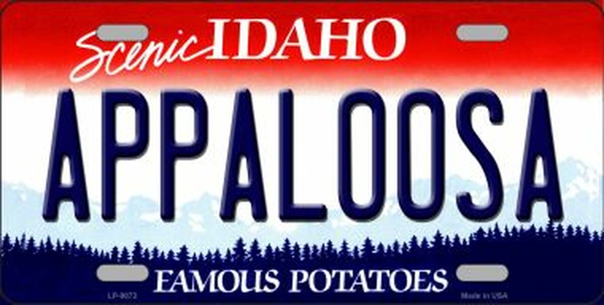 Appaloosa Idaho License Plate