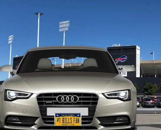 Bills Souvenir Plate Mounted on car by Ralph Wilson Stadium