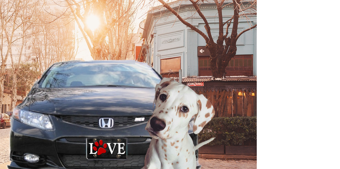 Love with Red Dogs Paw Print License Plate