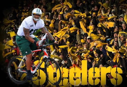 Steelers Fan Bicycle
